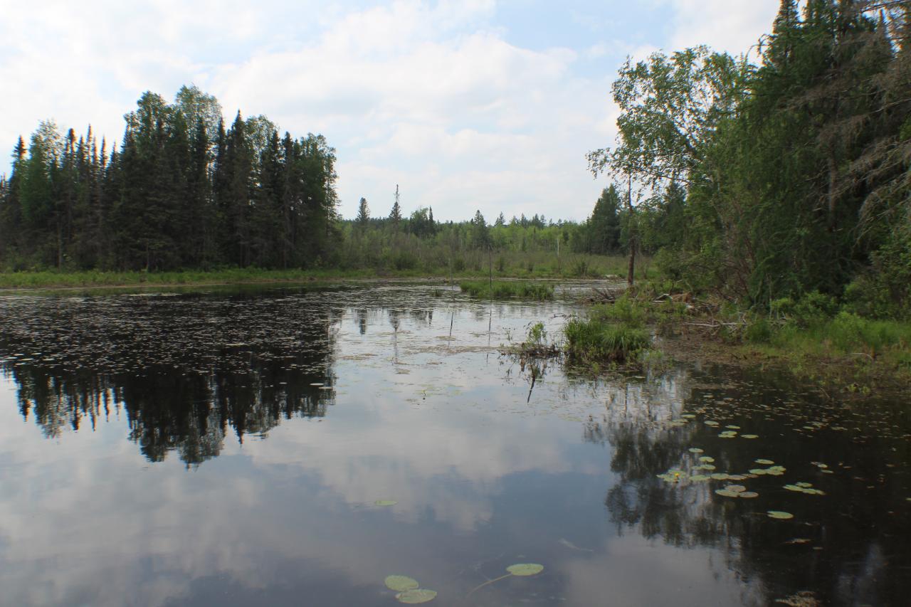W8691 Camp 5 Road Phillips, WI 54555 - Photo 28 of 32 Gallery Image 28