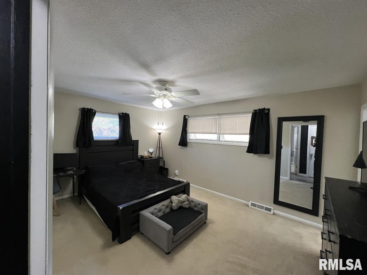 316 Jana Road Macomb, IL 61455 - Photo 18 of 31 Gallery Image 18