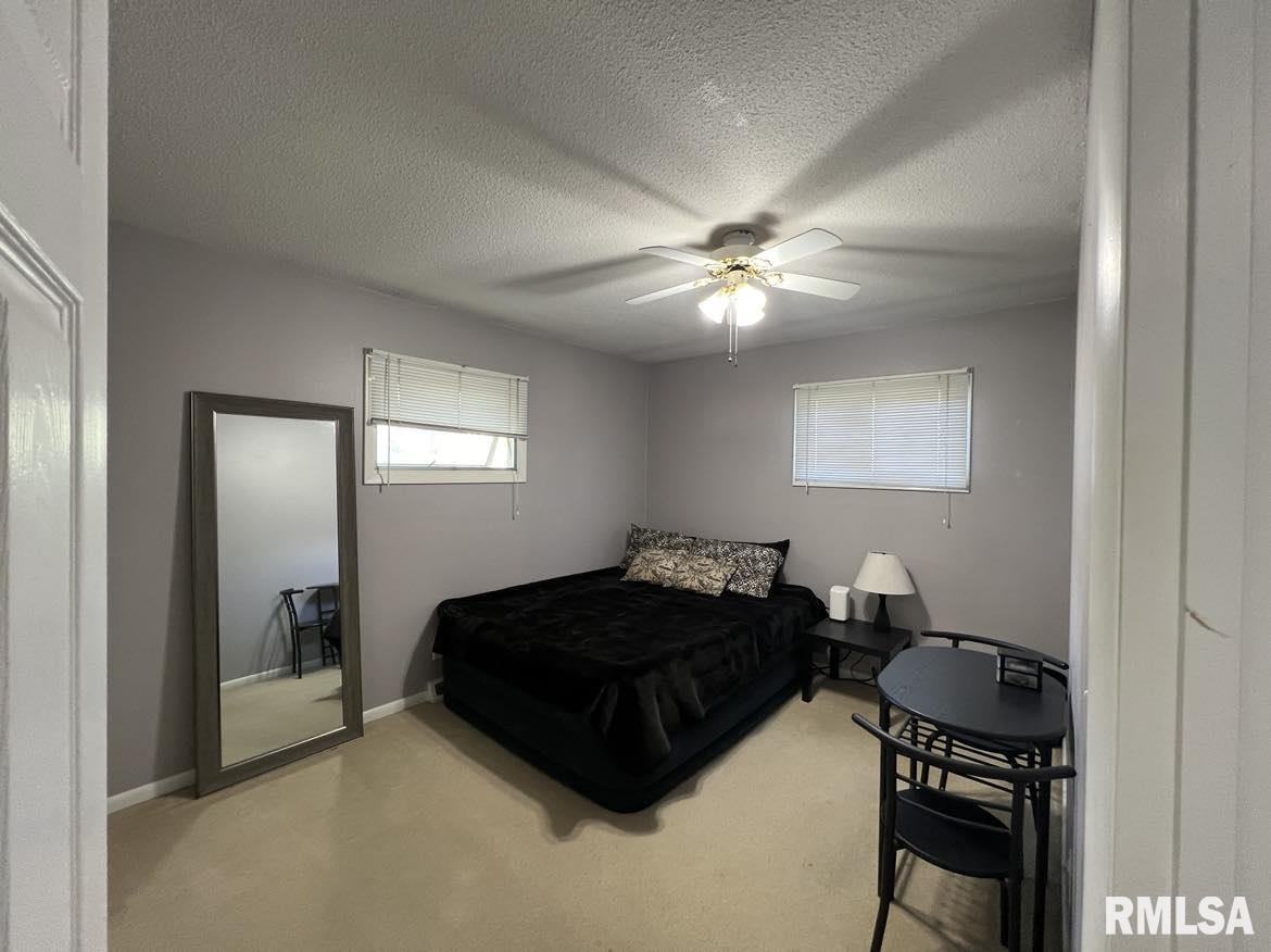 316 Jana Road Macomb, IL 61455 - Photo 20 of 31 Gallery Image 20