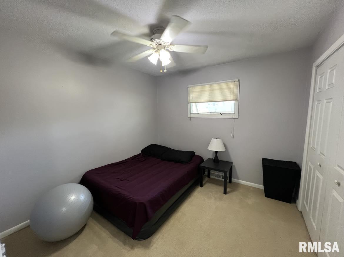 316 Jana Road Macomb, IL 61455 - Photo 21 of 31 Gallery Image 21