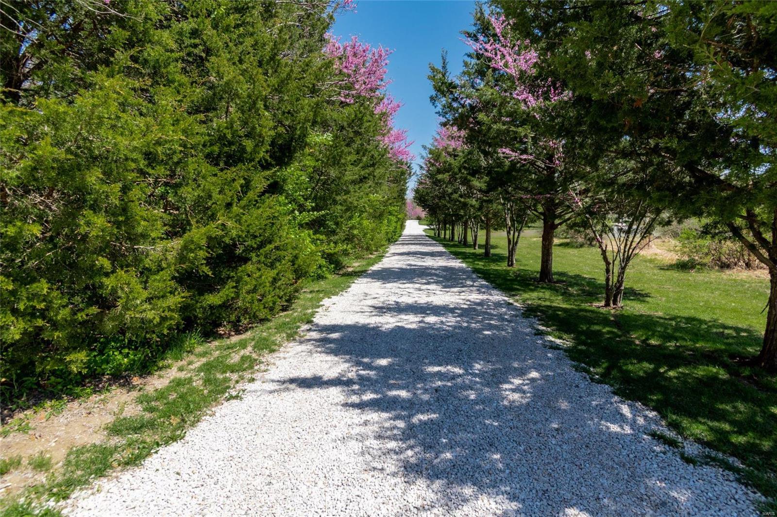 2818 South Point Prairie Road Wentzville, MO 63385 - Photo 6 of 69