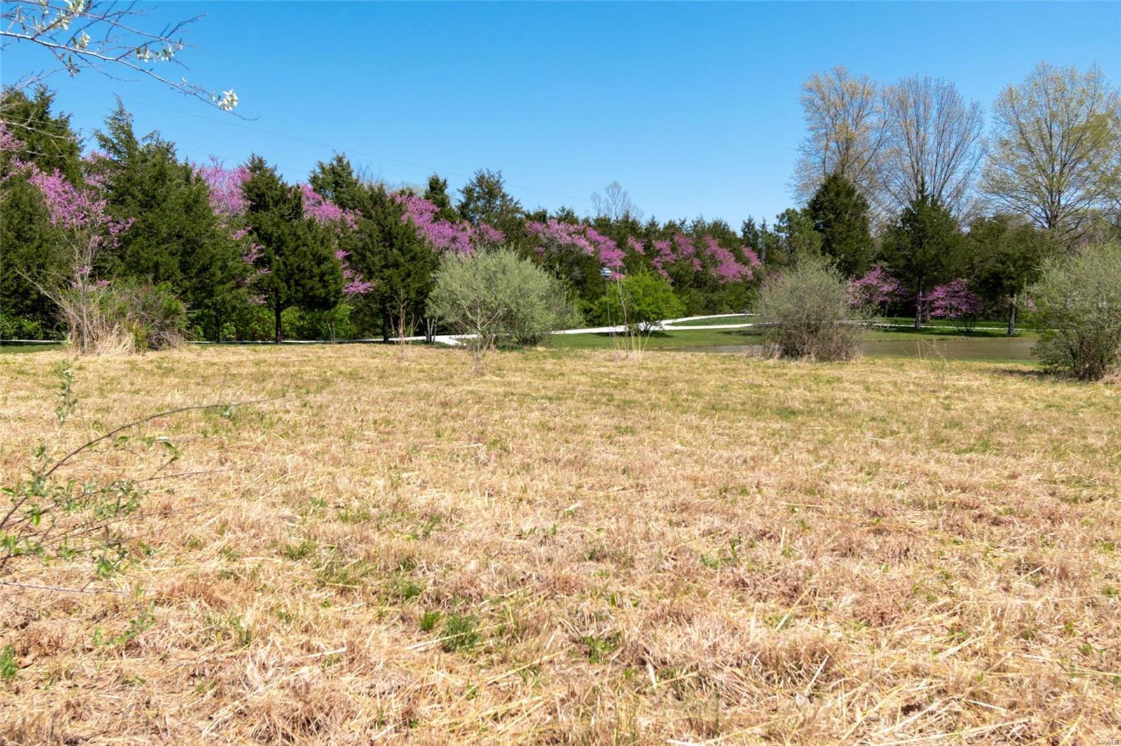 2818 South Point Prairie Road Wentzville, MO 63385 - Photo 7 of 69