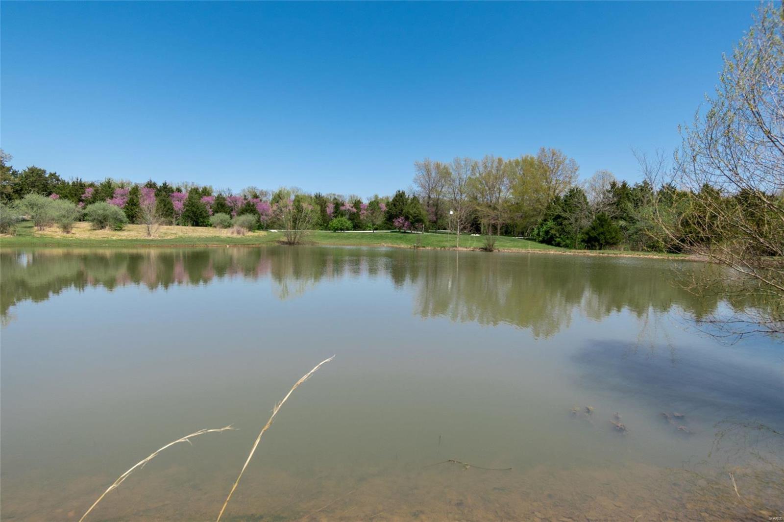 2818 South Point Prairie Road Wentzville, MO 63385 - Photo 63 of 69