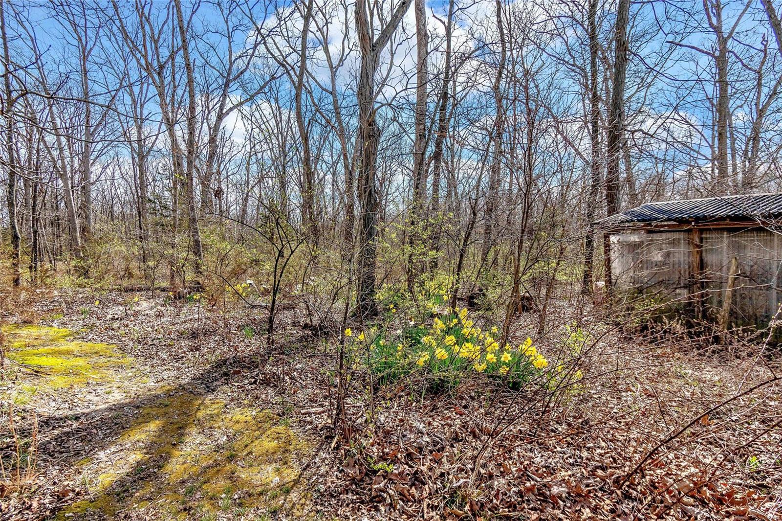 2818 South Point Prairie Road Wentzville, MO 63385 - Photo 69 of 69