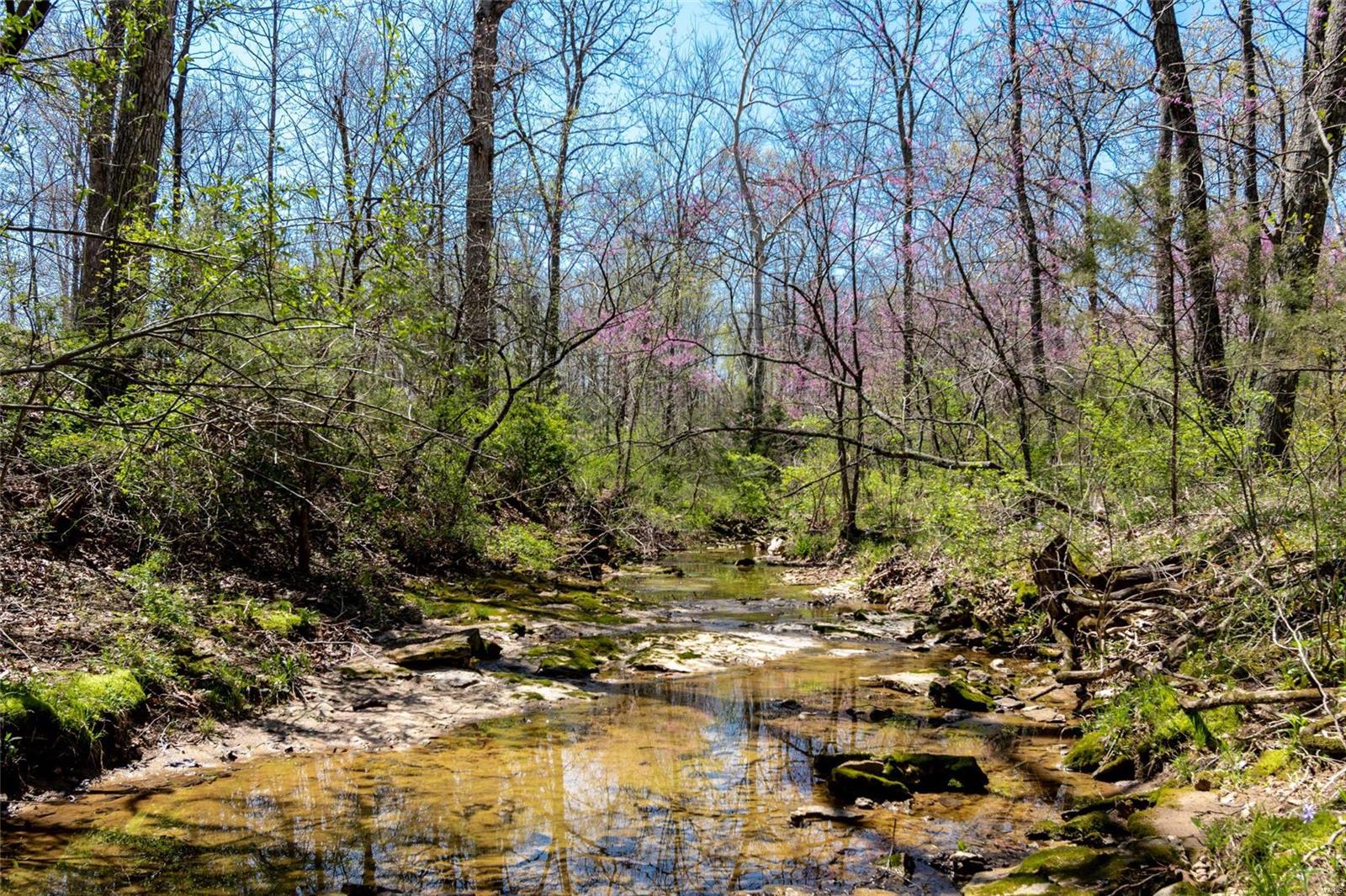 2818 South Point Prairie Road Wentzville, MO 63385 - Photo 8 of 69