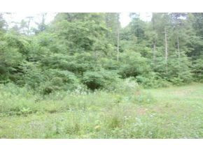 Tba Ruth Street Bristol, TN 37620 - Photo 1 of 1 Photo 1