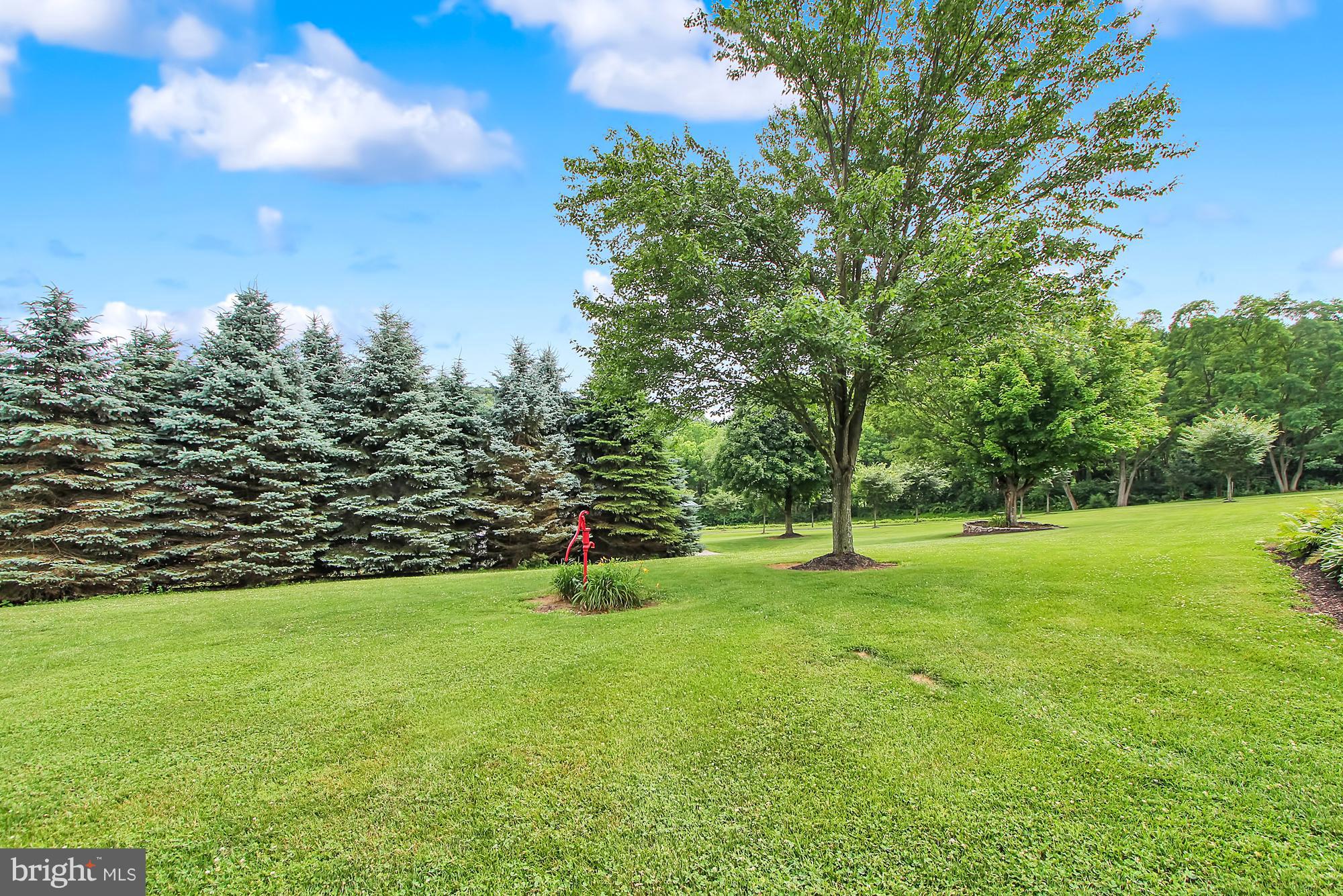 2233 Harvey Gummel Road Hampstead, MD 21074 - Photo 29 of 30 Lawn