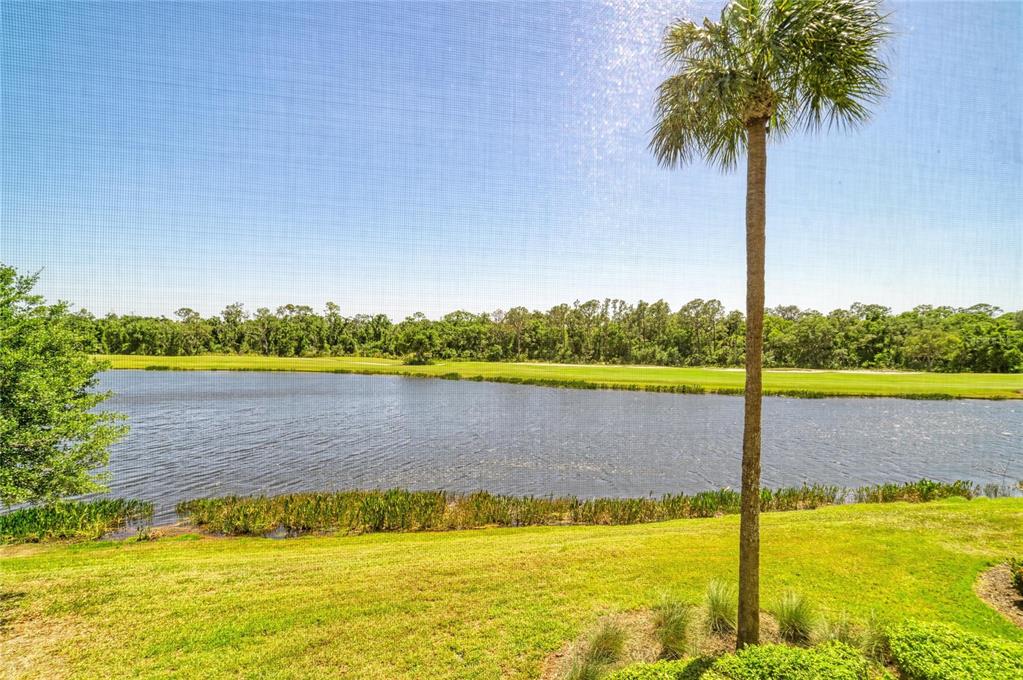 17520 Gawthrop Drive, Unit 202 Lakewood Ranch, FL 34211 - Photo 33 of 71