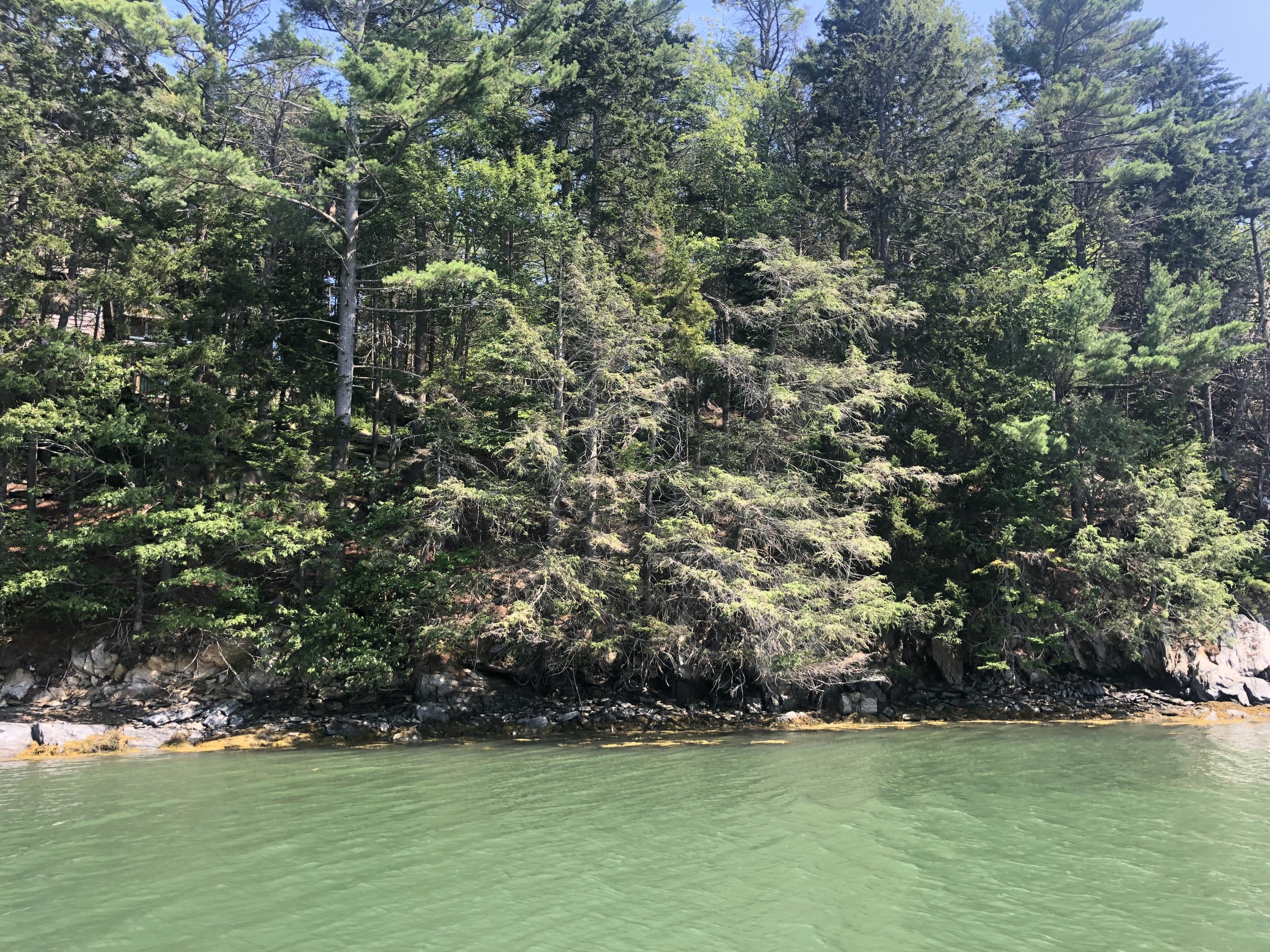 0 Old Town Road Harpswell, ME 04066 - Photo 5 of 13 IMG_4644