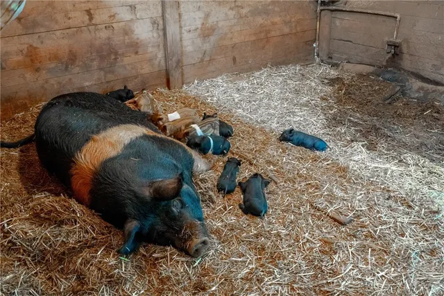 $565,000 | 170 Woodhaven Drive, Chico, CA 95973