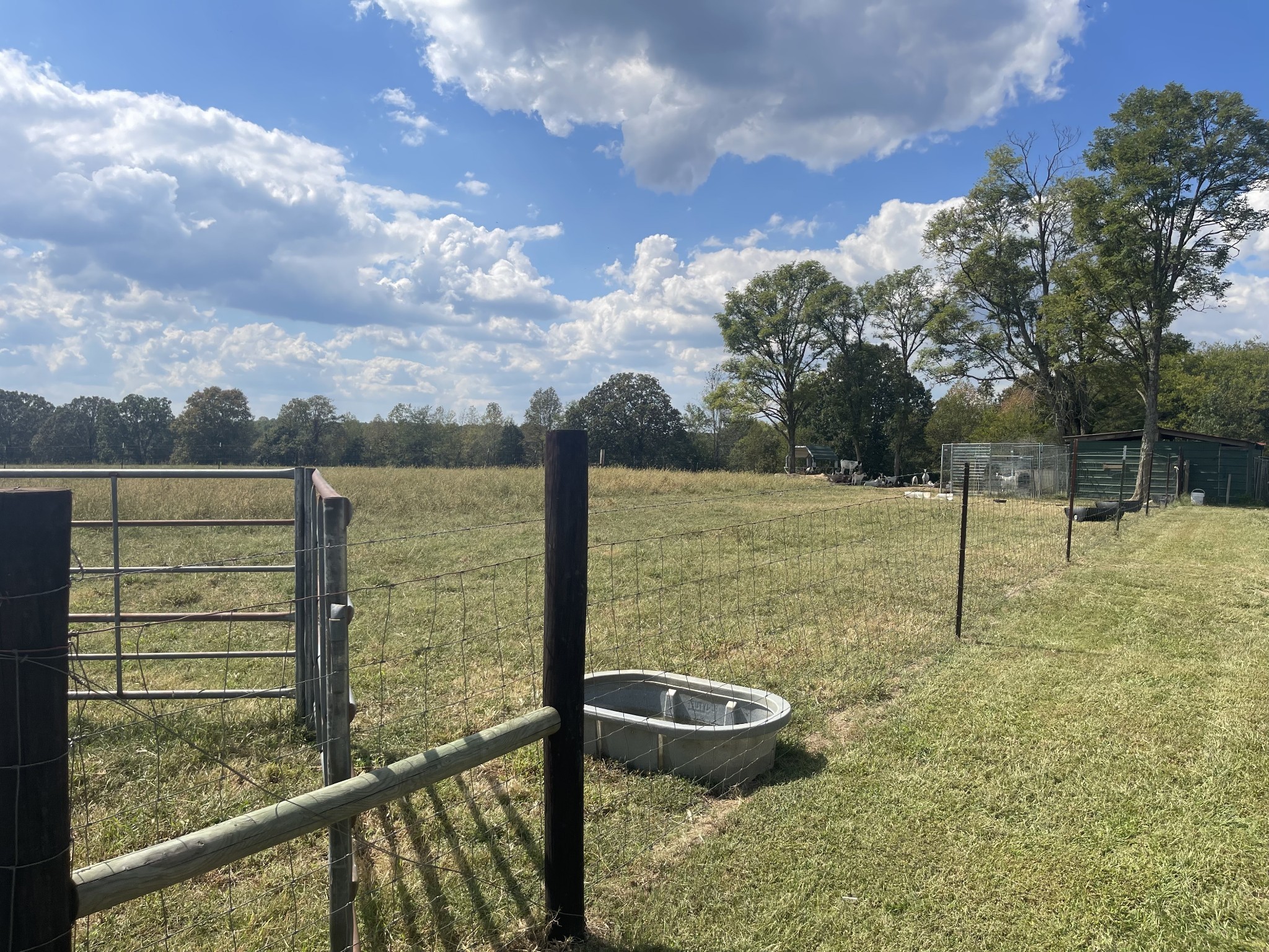 295 White Road Pulaski, TN 38478 - Photo 16 of 49 a view of a garden from a window
