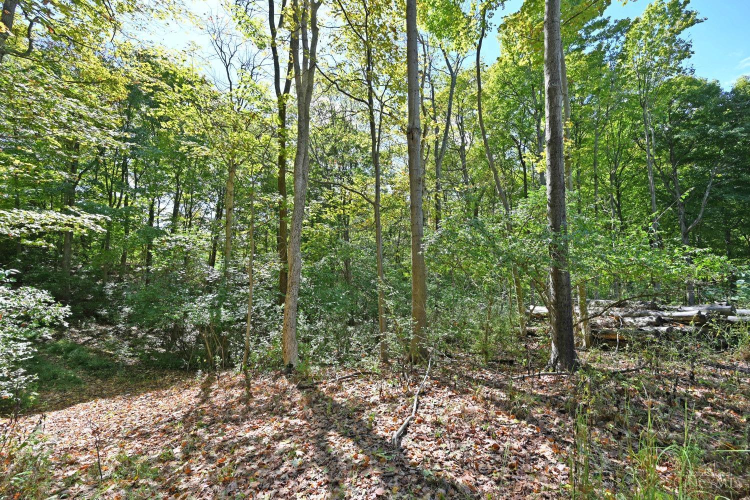 3301 Mt Carmel Road Cincinnati, OH 45244 - Photo 19 of 30