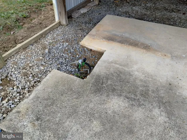 a view of a yard with plants