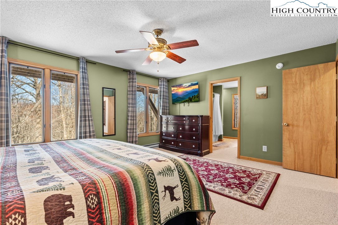 101 Doe Lane Beech Mountain, NC 28604 - Photo 21 of 31