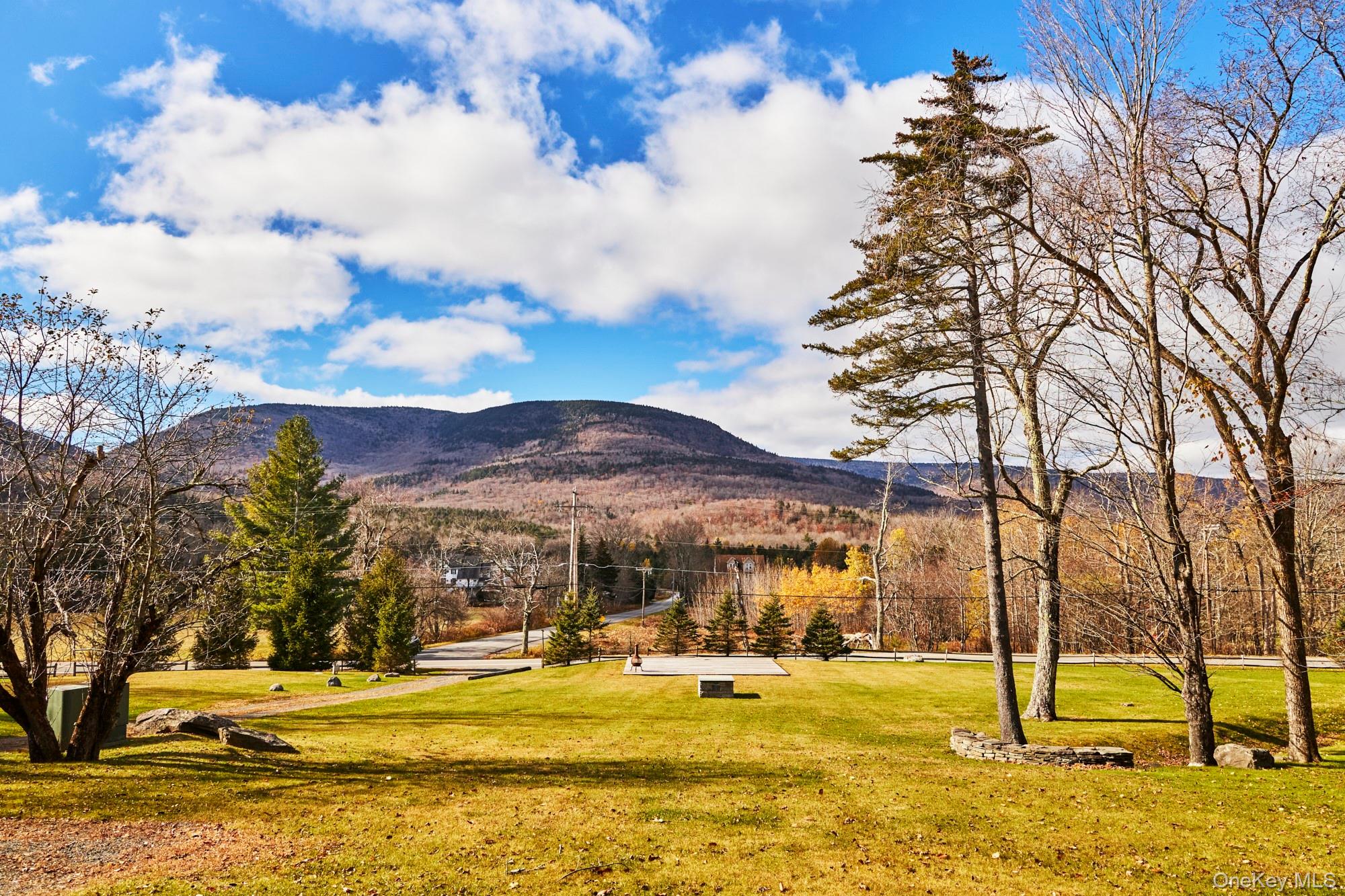 1681 Platte Clove Road Hunter, NY 12427 - Photo 15 of 23 a view of a houses with a yard