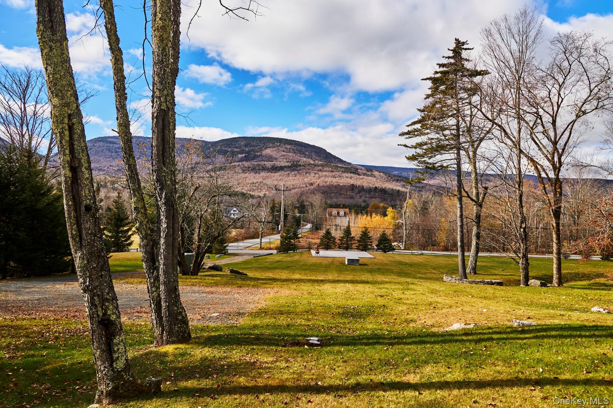 1681 Platte Clove Road Hunter, NY 12427 - Photo 17 of 23 a view of swimming pool with an outdoor seating