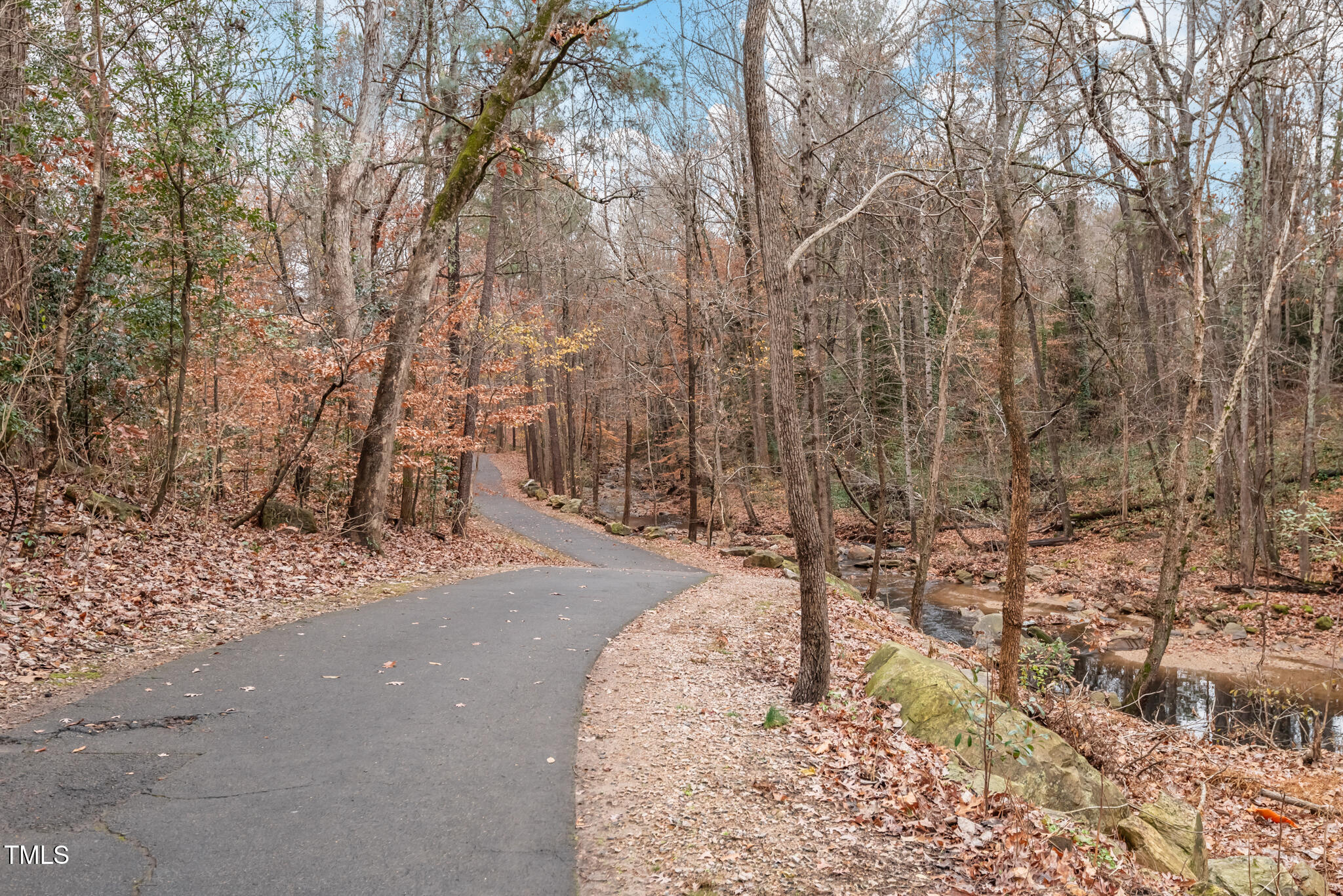 7309 Barberry Court Raleigh, NC 27615 - Photo 36 of 43 a pathway of a yard with large trees