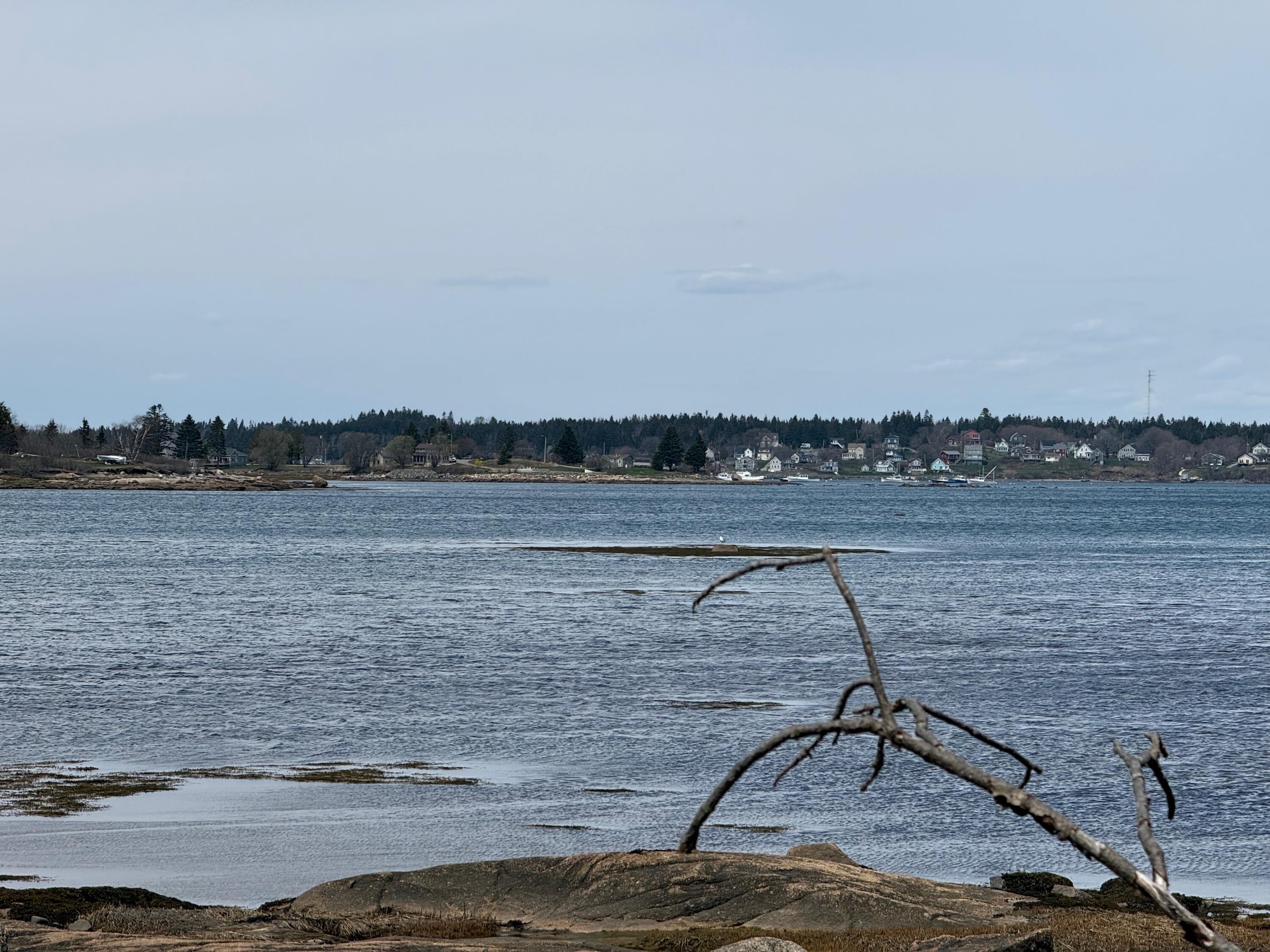 27 Alleys Bay Road Beals, ME 04611 - Photo 35 of 47 IMG_0932