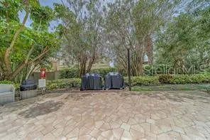 a view of a backyard