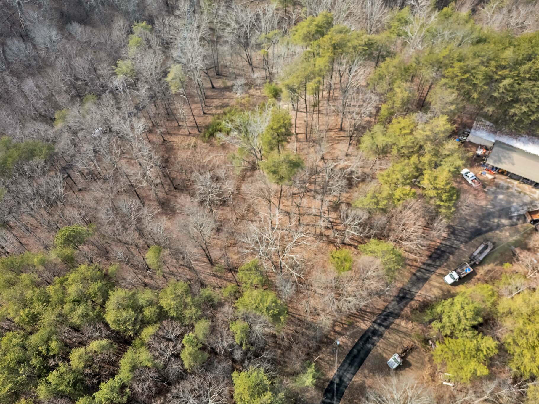 190 Firetower Road McDonald, TN 37353 - Photo 11 of 21 DJI_20260220035833_0031_D