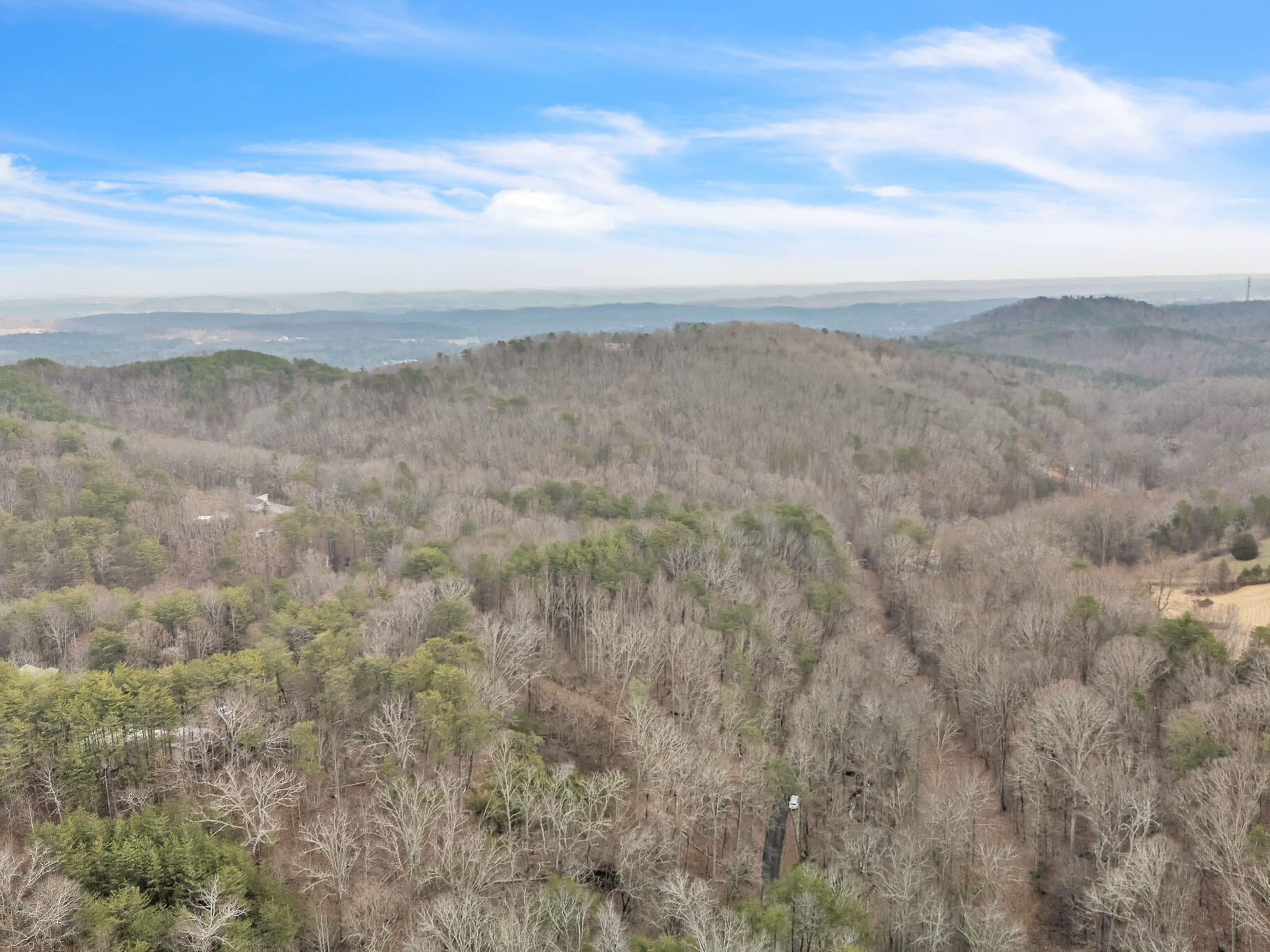 190 Firetower Road McDonald, TN 37353 - Photo 15 of 21 DJI_20260220040245_0052_D