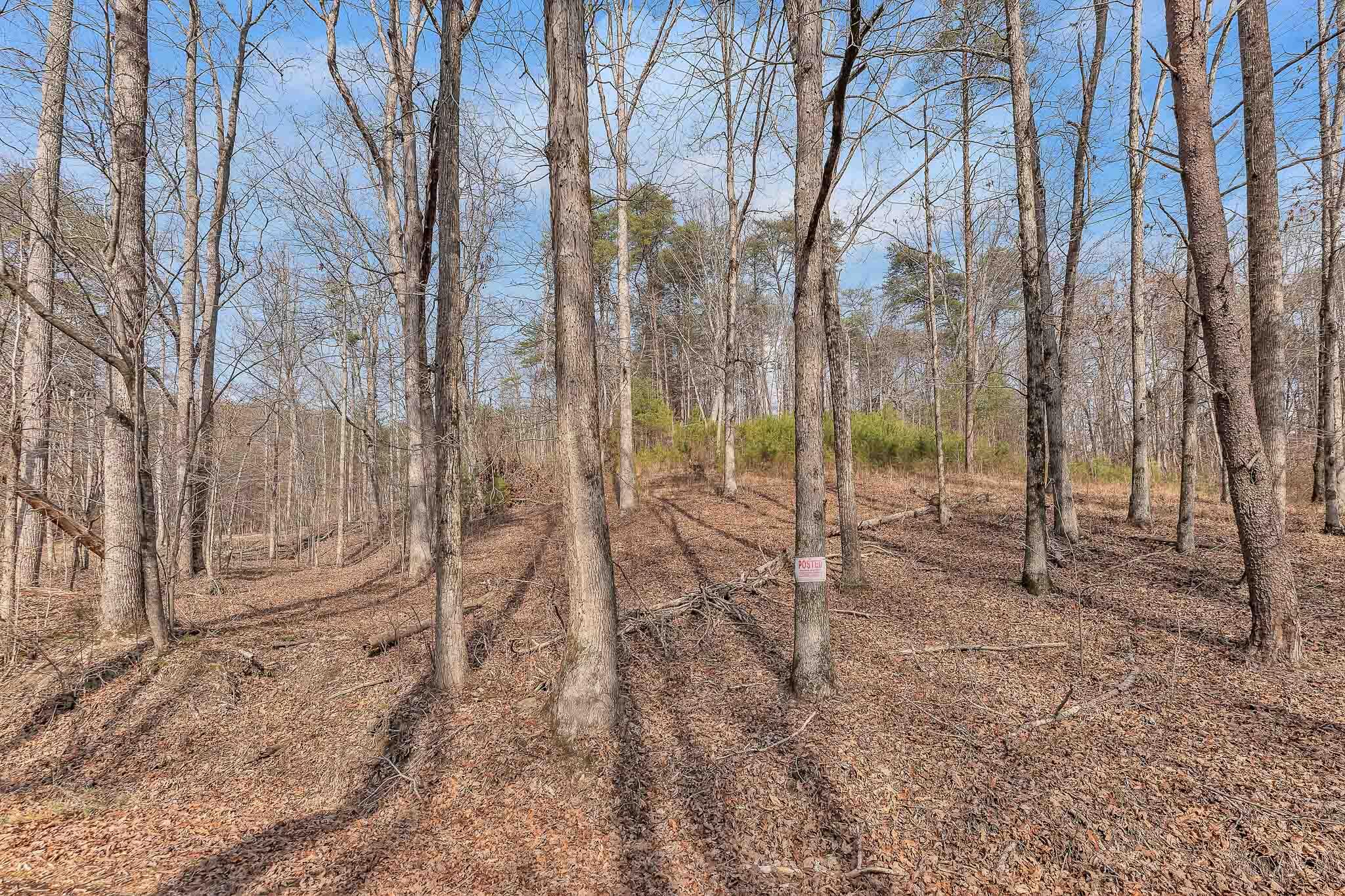 190 Firetower Road McDonald, TN 37353 - Photo 18 of 21 DSC06774