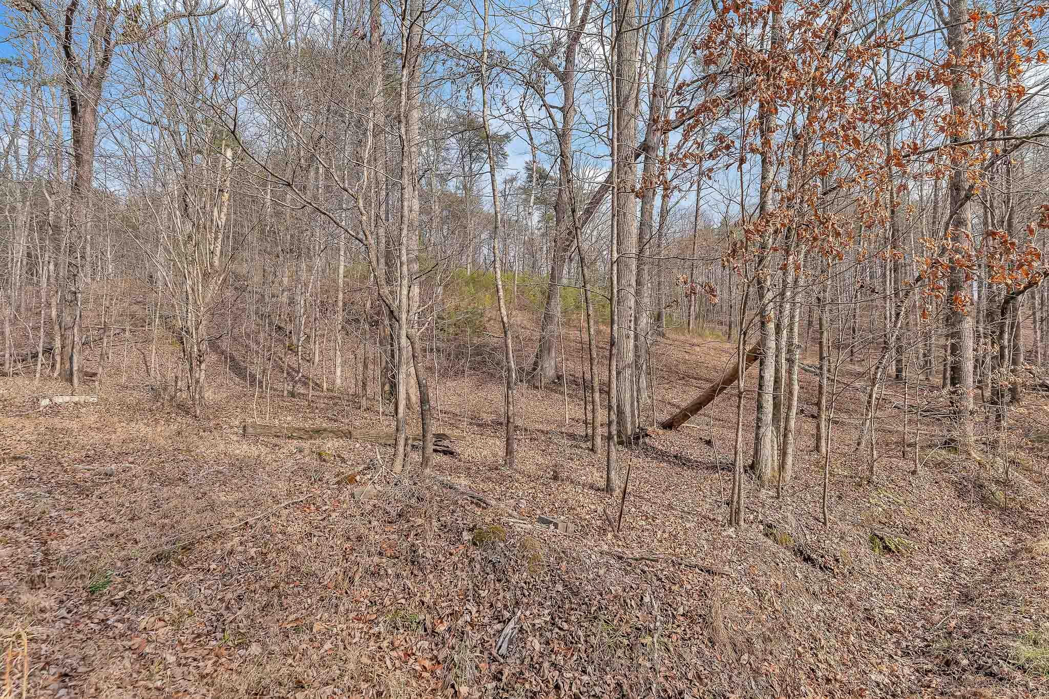 190 Firetower Road McDonald, TN 37353 - Photo 19 of 21 DSC06775