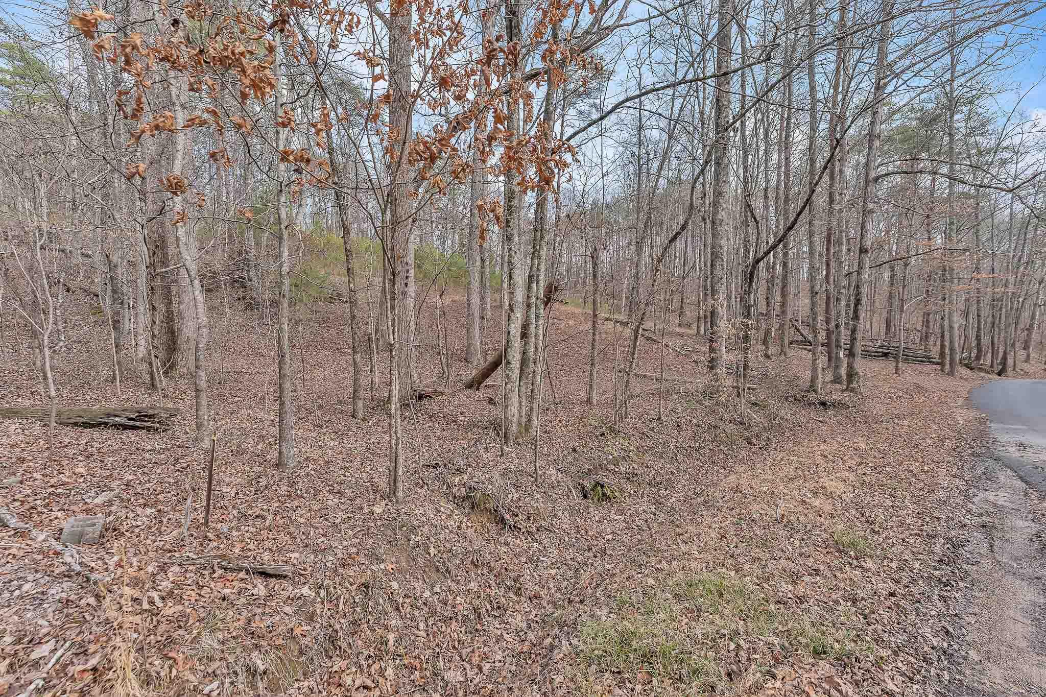 190 Firetower Road McDonald, TN 37353 - Photo 20 of 21 DSC06776