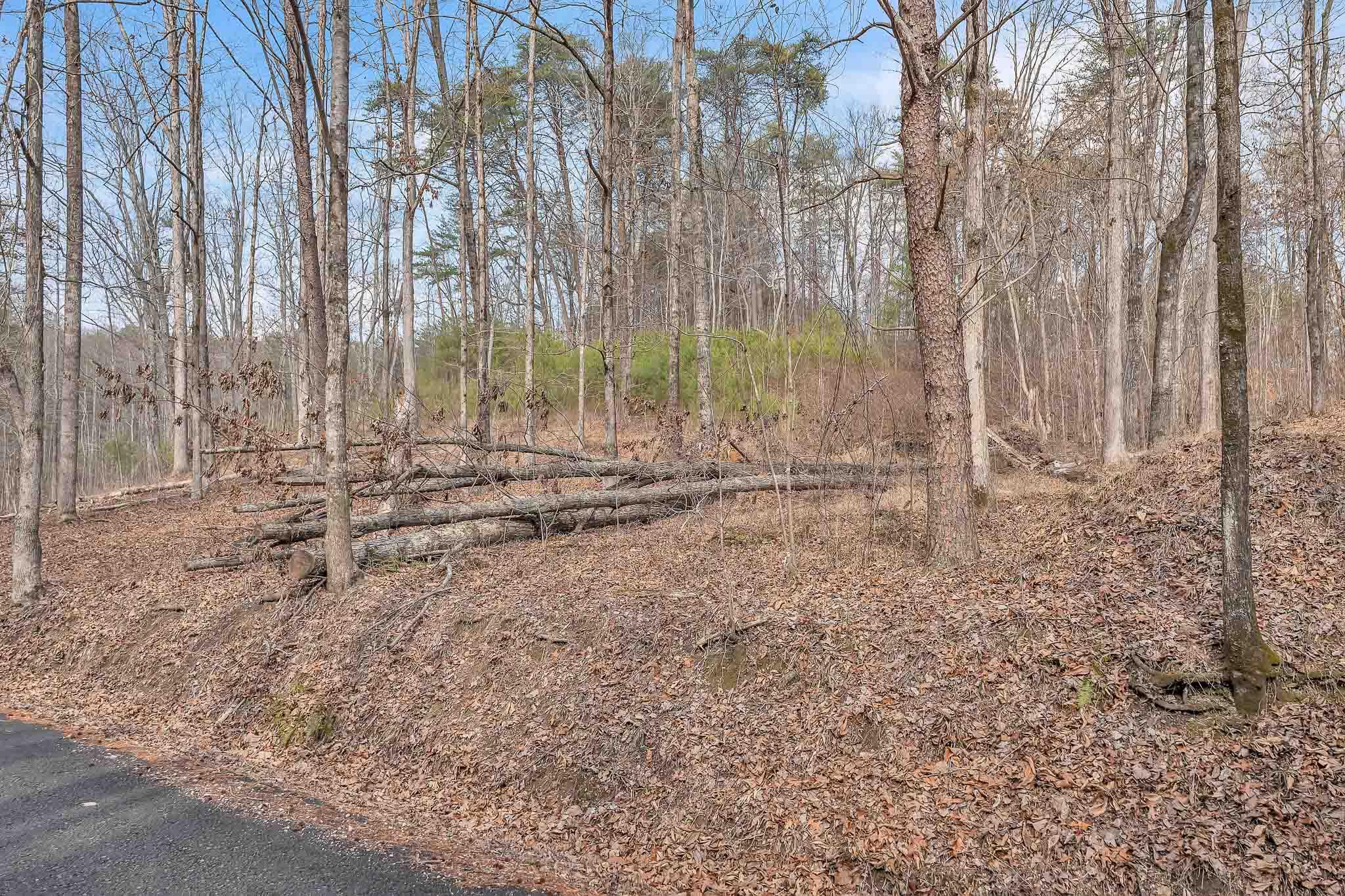 190 Firetower Road McDonald, TN 37353 - Photo 21 of 21 DSC06777