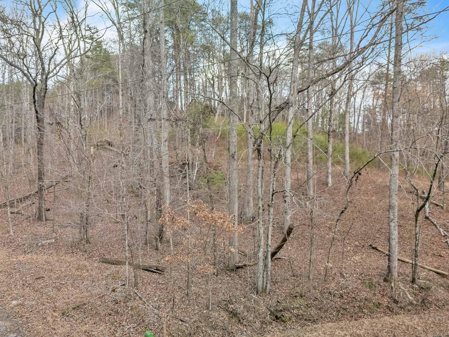 190 Firetower Road McDonald, TN 37353 - Photo 9 of 21 DJI_20260220035522_0017_D