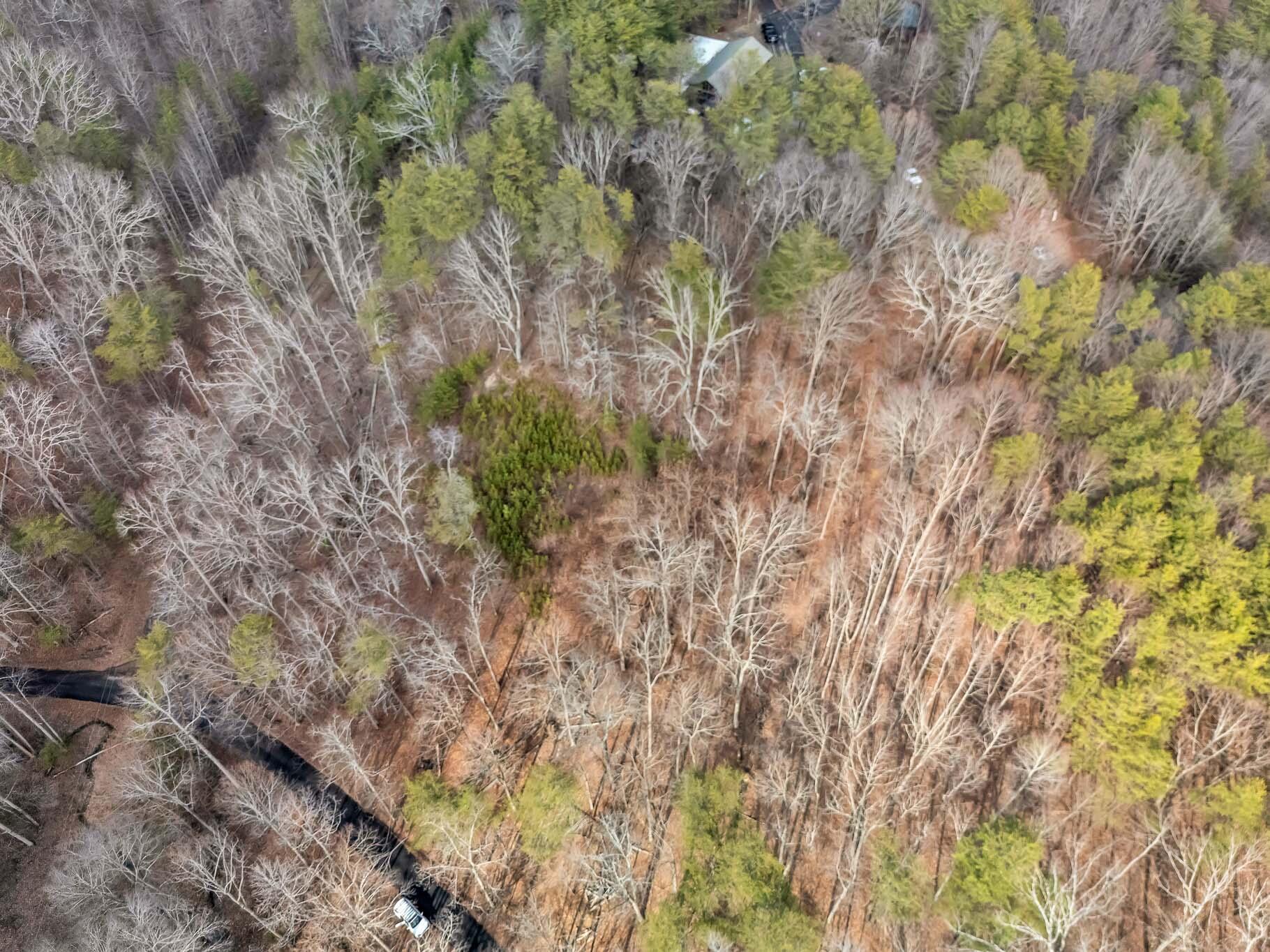190 Firetower Road McDonald, TN 37353 - Photo 10 of 21 DJI_20260220035802_0026_D
