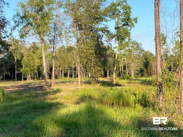 16108 Old Pierce Road Fairhope, AL 36532 - Photo 8 of 14