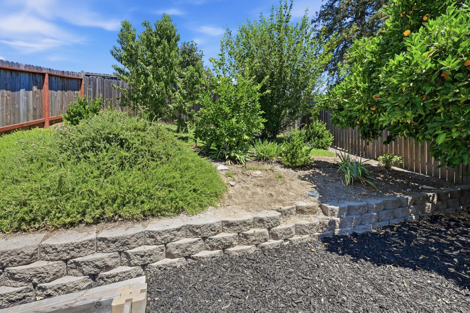 3006 Springview Meadows Drive Rocklin, CA 95677 - Photo 39 of 41