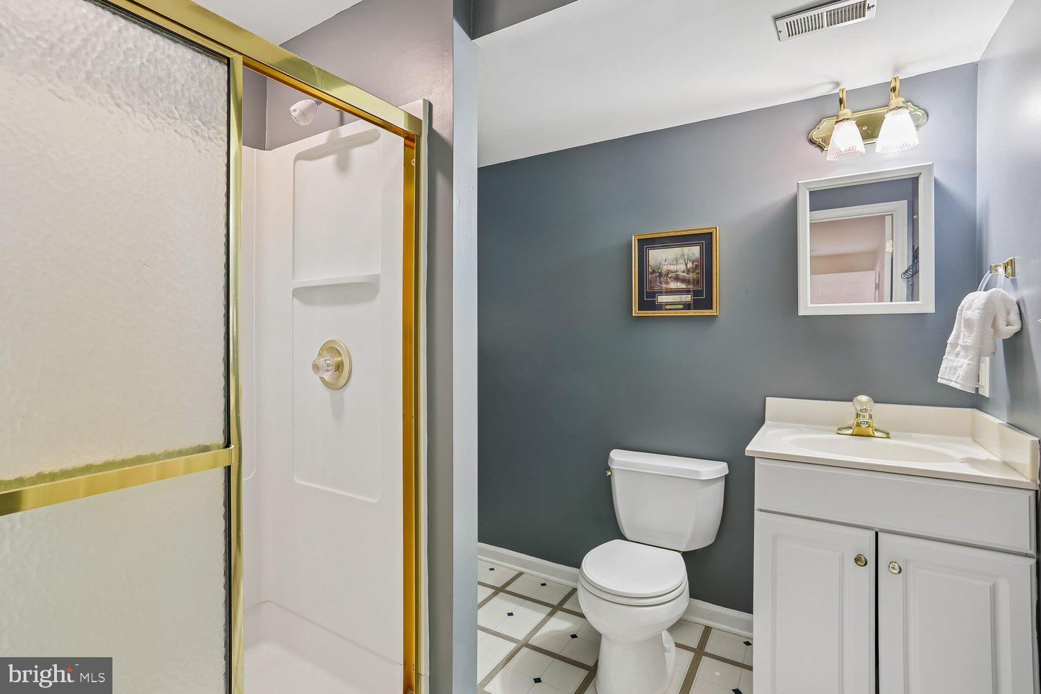 465 Tschiffely Square Road Gaithersburg, MD 20878 - Photo 43 of 74 Convenient lower level full bath