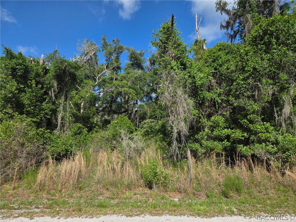 4240 South Kenvera Loop Inverness, FL 34450 - Photo 10 of 12