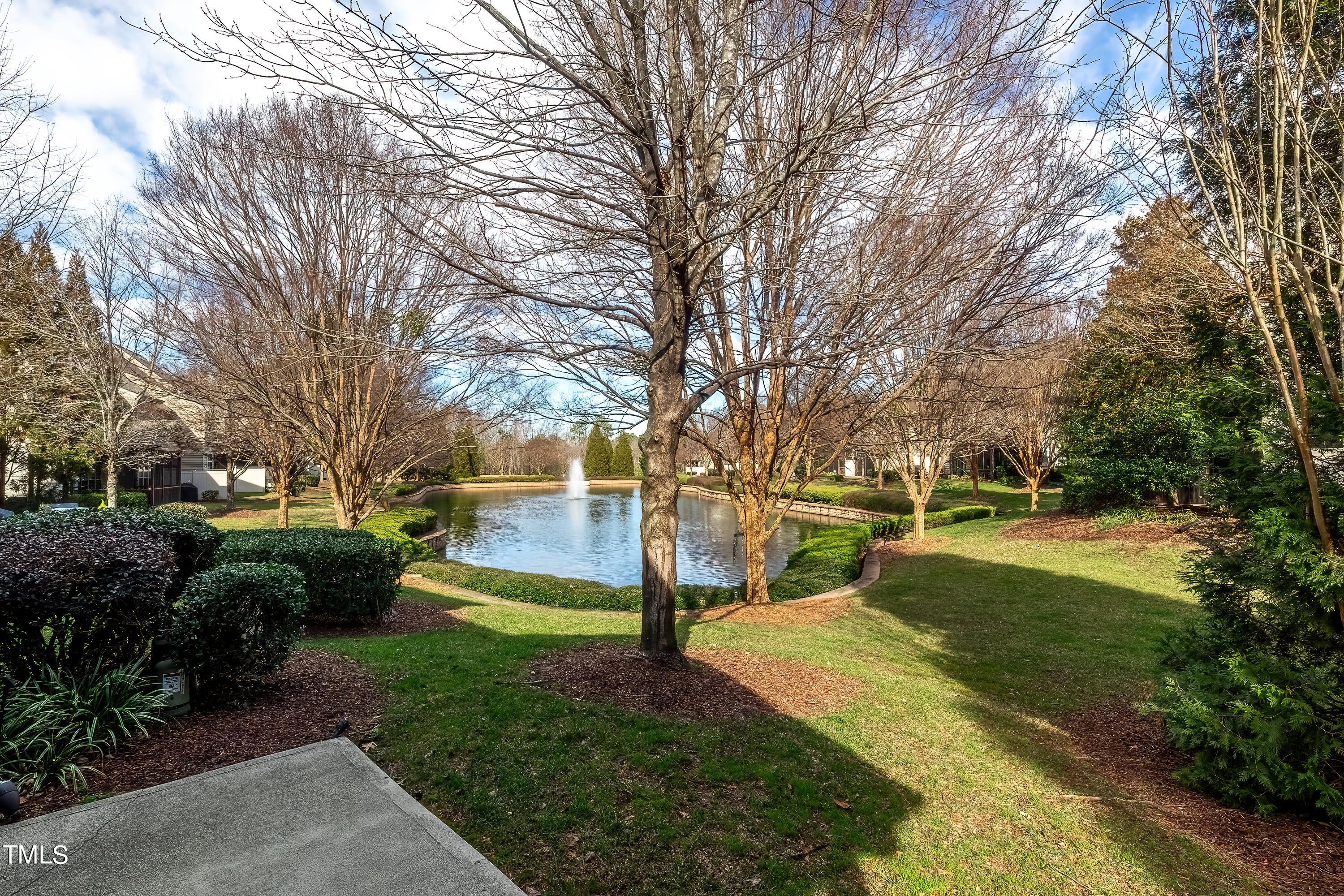 133 Sunstone Drive Cary, NC 27519 - Photo 4 of 37 a view of a park with large trees