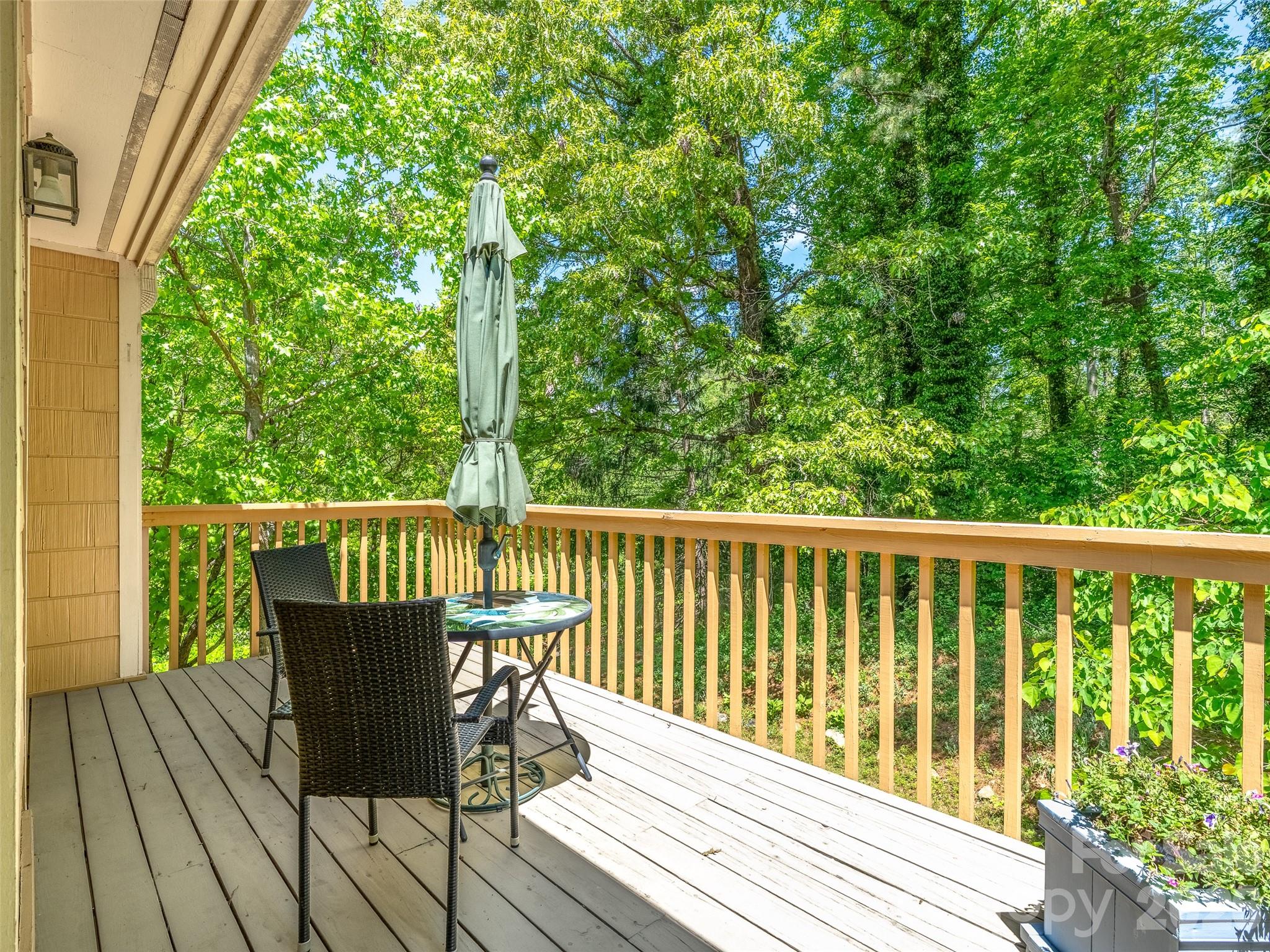 101 Beaver Ridge Road Asheville, NC 28804 - Photo 26 of 48
