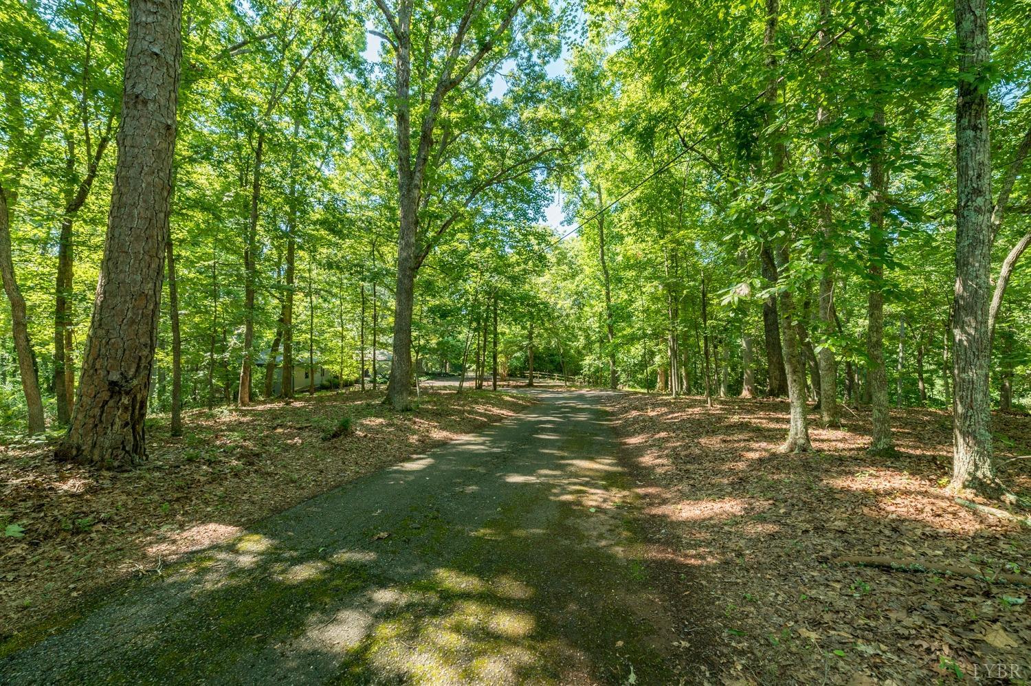 320 Mill Lane Road Lynchburg, VA 24503 - Photo 41 of 44 Gallery Image 41