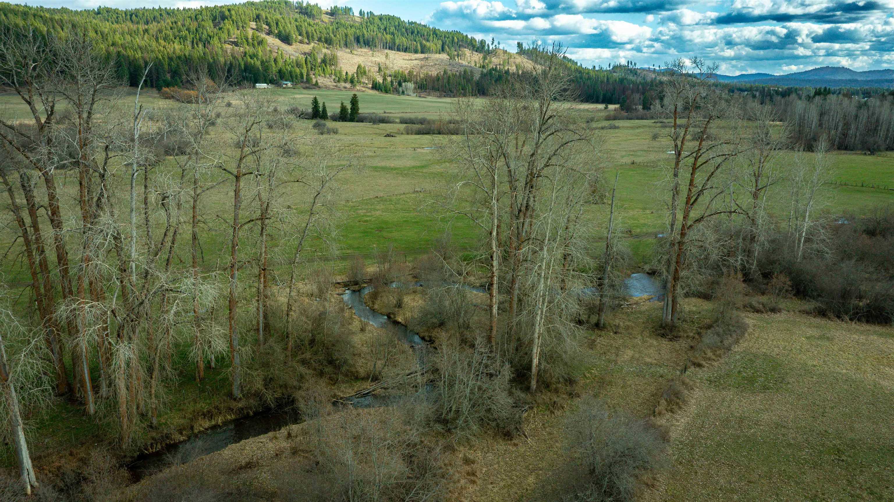 901 Skookum Creek Road Usk, WA 99180 - Photo 45 of 50