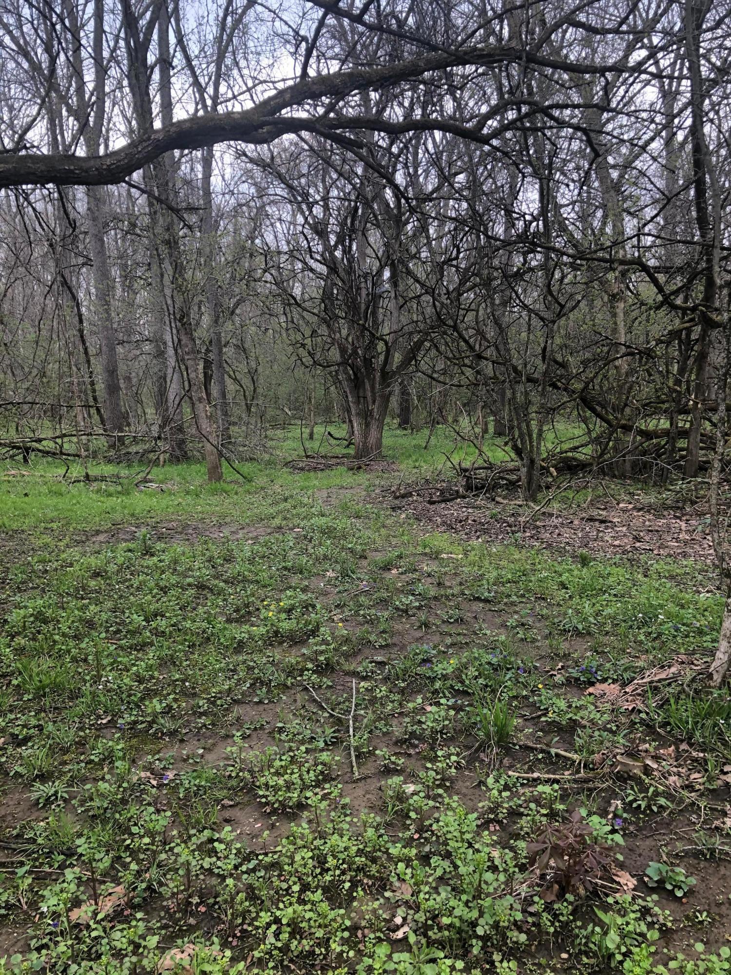 0 Porter Central Road Marengo, OH 43334 - Photo 2 of 11