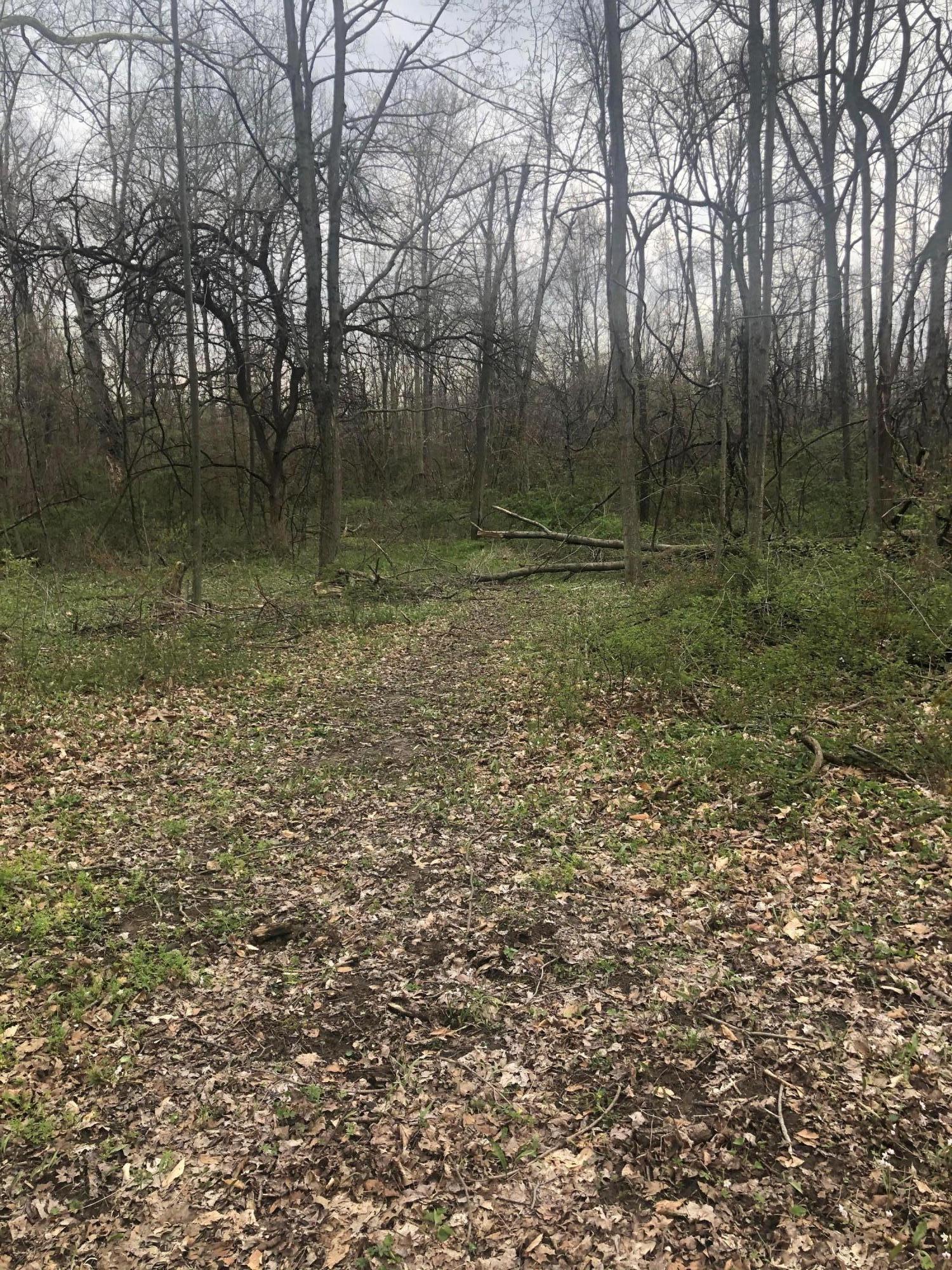 0 Porter Central Road Marengo, OH 43334 - Photo 5 of 11