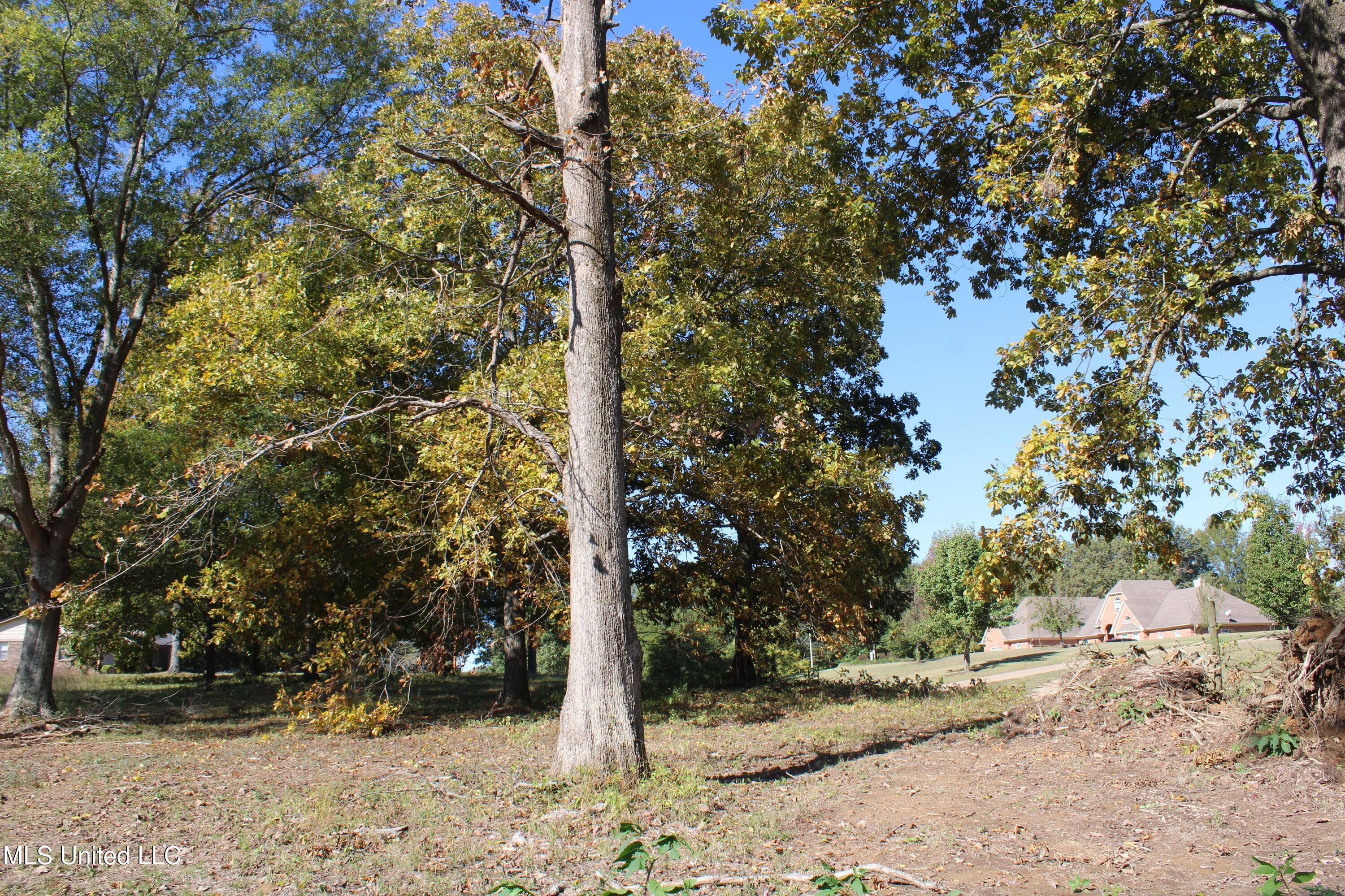 14901 Desoto Road Olive Branch, MS 38654 - Photo 26 of 27 IMG_6876
