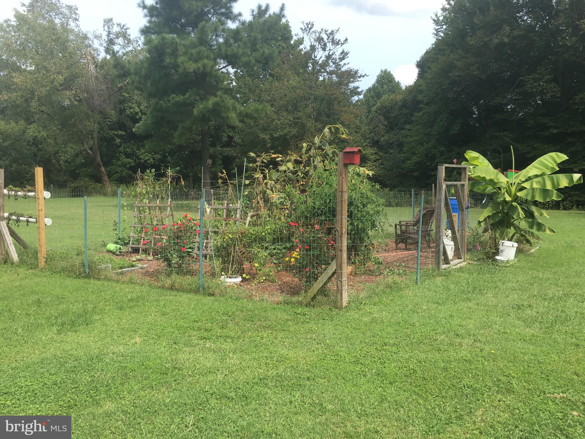 7373 Rixey Road King George, VA 22485 - Photo 26 of 30 Garden