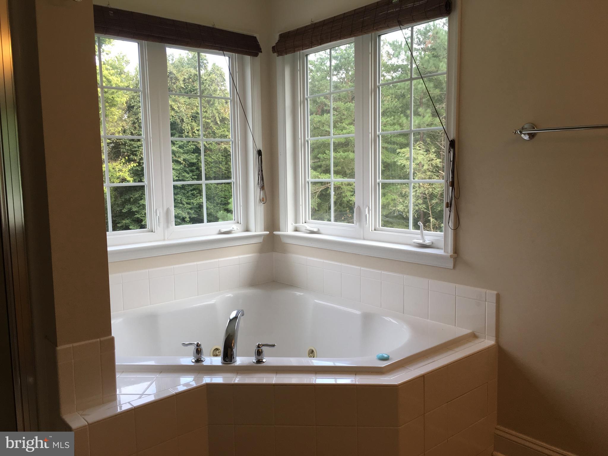 7373 Rixey Road King George, VA 22485 - Photo 8 of 30 Bath (Master)