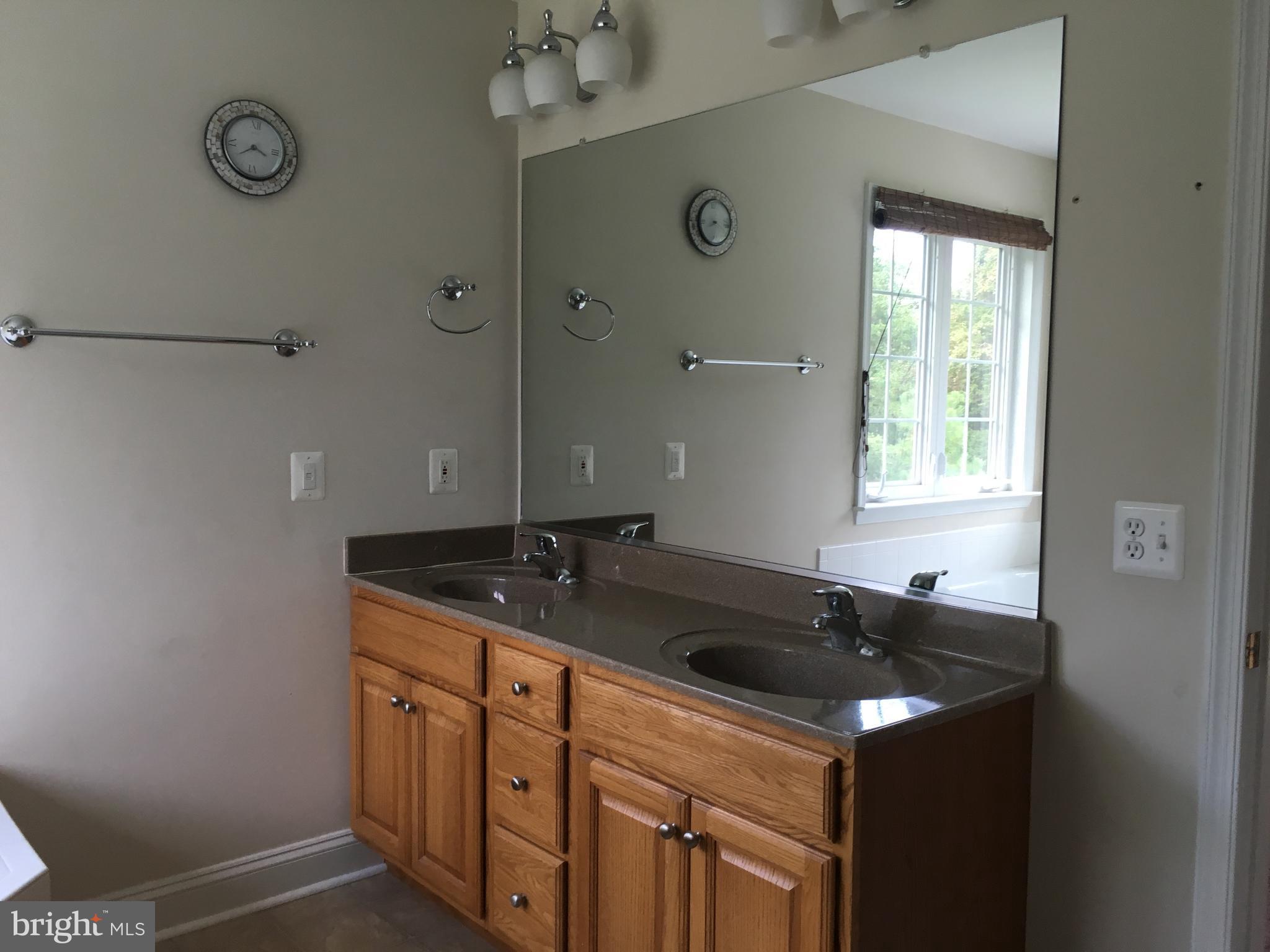 7373 Rixey Road King George, VA 22485 - Photo 9 of 30 Bath (Master)