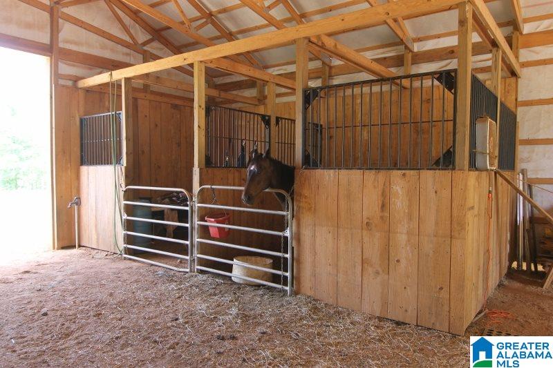4747 County Road 33 Wadley, AL 36276 - Photo 29 of 36