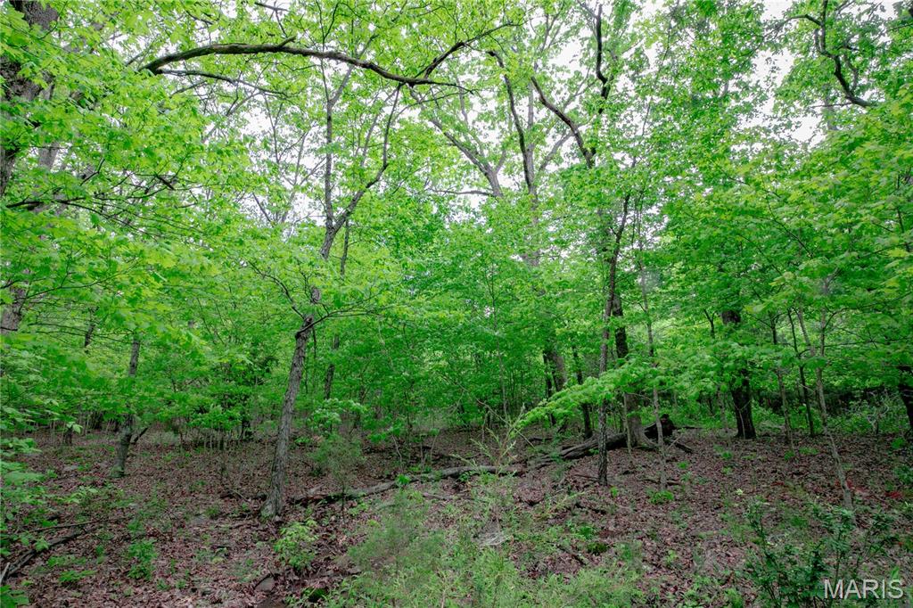 0 Mo-221 Ironton, MO 63650 - Photo 1 of 12