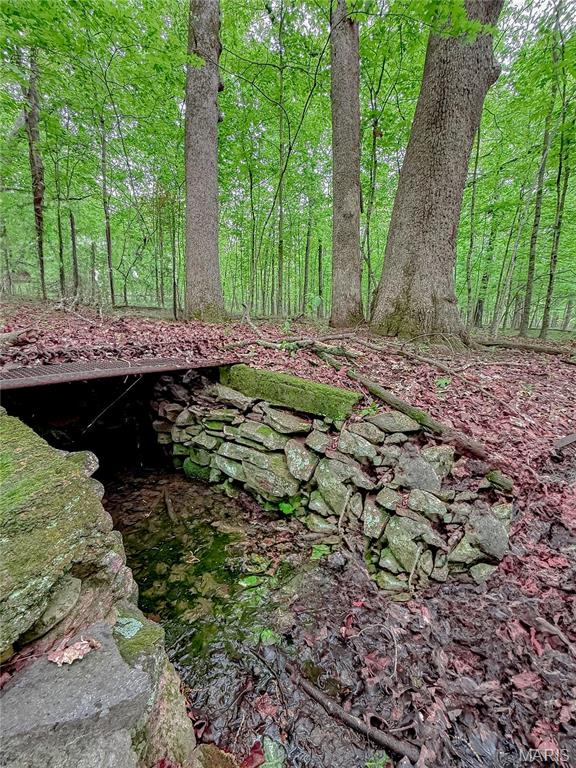 0 Mo-221 Ironton, MO 63650 - Photo 2 of 12