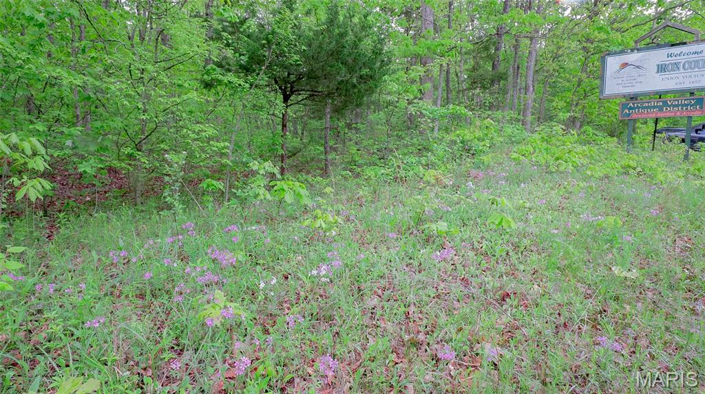 0 Mo-221 Ironton, MO 63650 - Photo 3 of 12