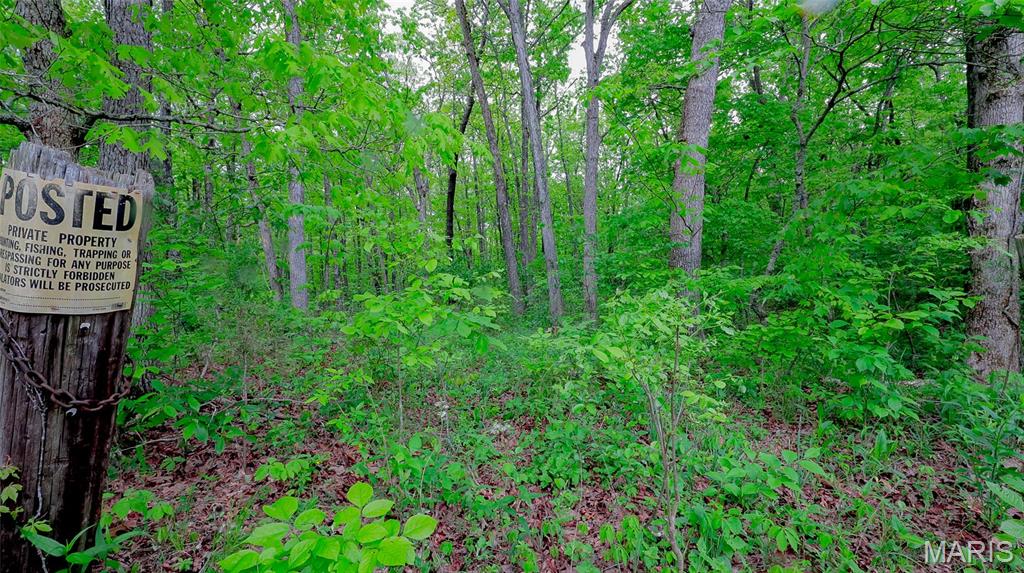 0 Mo-221 Ironton, MO 63650 - Photo 4 of 12